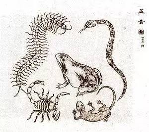 新澳今晚一肖一特預測和或7777888888888:羊、馬、蛇、雞,升級分析、解釋與落實-小心虛假的幌子