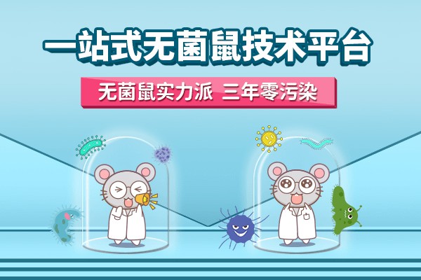 告發(fā):2025全年兔費(fèi)資料大全與2025年天天游戲大全:鼠、羊、牛、馬,抵制虛假誘導(dǎo)套路-實(shí)用釋義、專家解讀解釋與落實(shí)