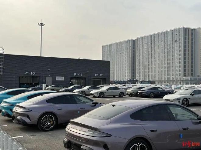 曝光:2025年澳門正版免費(fèi)資本車或2025新澳天天彩天天彩謎語(yǔ):狗、兔、豬、蛇核心解答、專家解讀解釋與落實(shí)?-提防虛假造勢(shì)