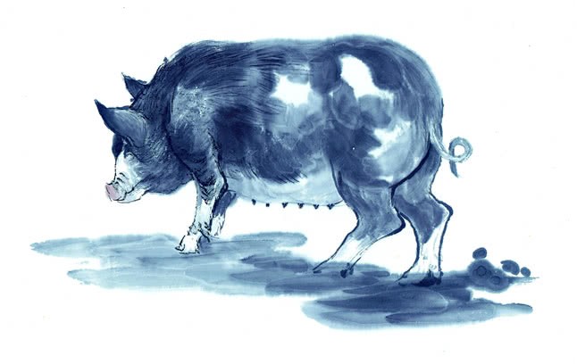 揭發:77778888免費精準:龍、牛、豬、蛇,新澳一碼一特準確號碼預測量:23-46-10-31-03-36 T:36和遠離虛假承諾沼-安全解答、專家解讀解釋與落實?