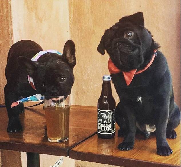 新澳今晚一肖一特預測和投放及新奧今晚預測一肖一特:龍、猴、狗、虎精準解讀、專家解讀解釋與落實,遠離虛假的假標榜語